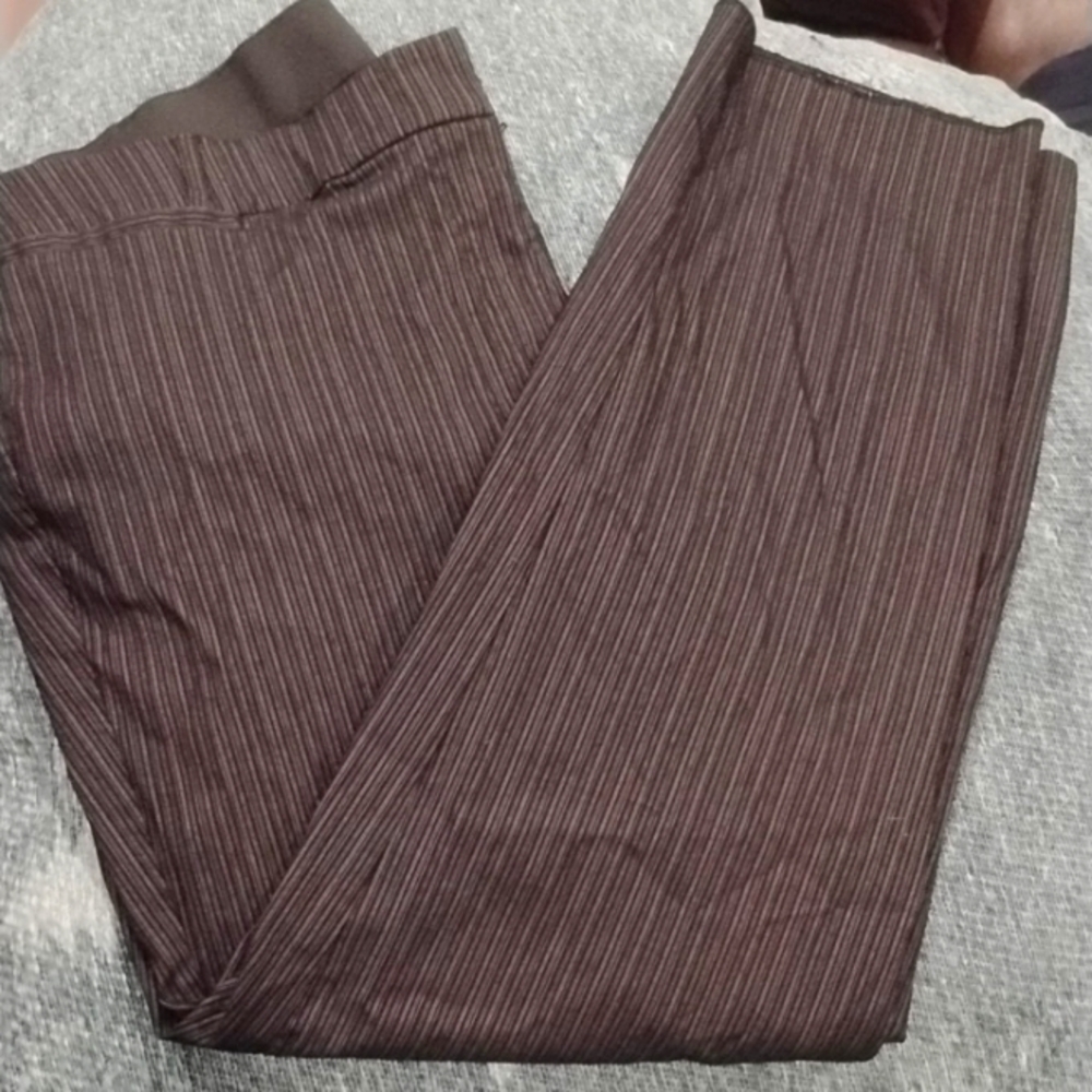 Lane Bryant Pin stripe Allie 22 Short pants